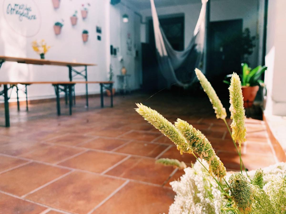Maria Magdalena - Room 6 Malaga Exterior photo